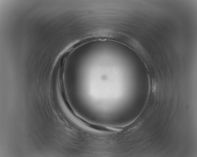 X0000080190388200612152020