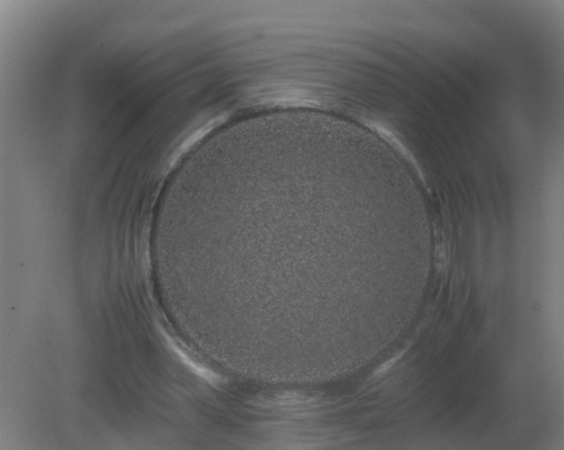 X0000080190390200612152020
