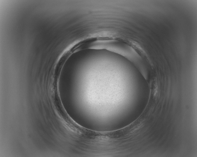 X0000080190392200612152020