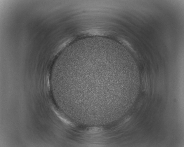 X0000080190398200612152019