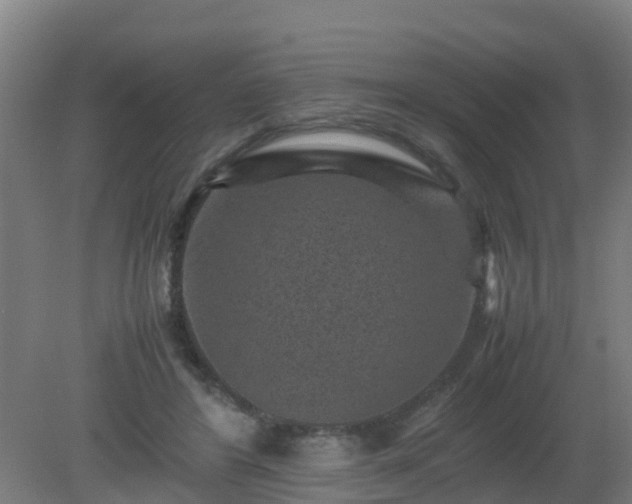 X0000080190404200612152019