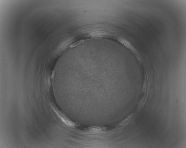 X0000080190405200612152019