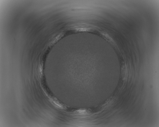 X0000080190406200612152019