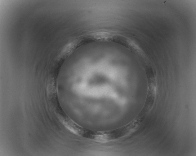 X0000080190411200612152019
