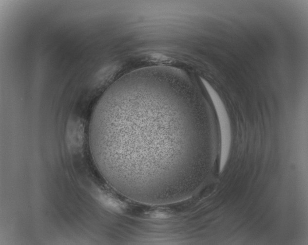 X0000080190412200612152019