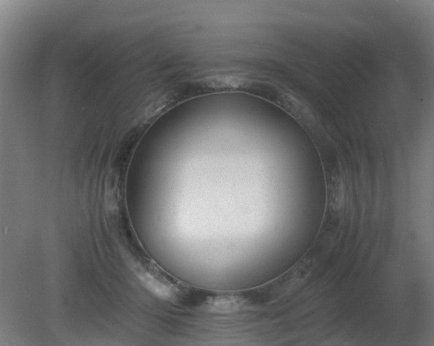 X0000080190414200612152019
