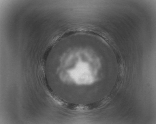 X0000080190415200612152019