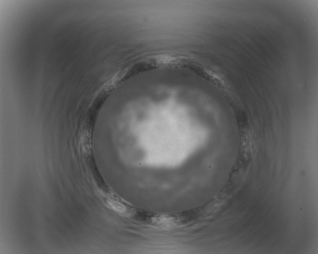 X0000080190419200612152019