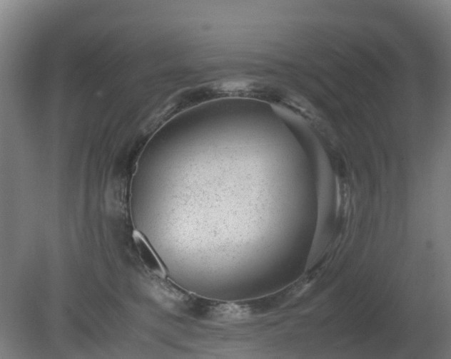 X0000080190421200612152019
