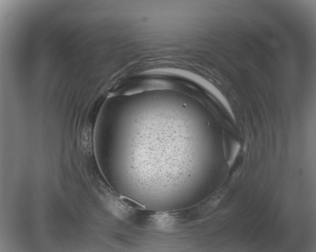 X0000080190425200612152019