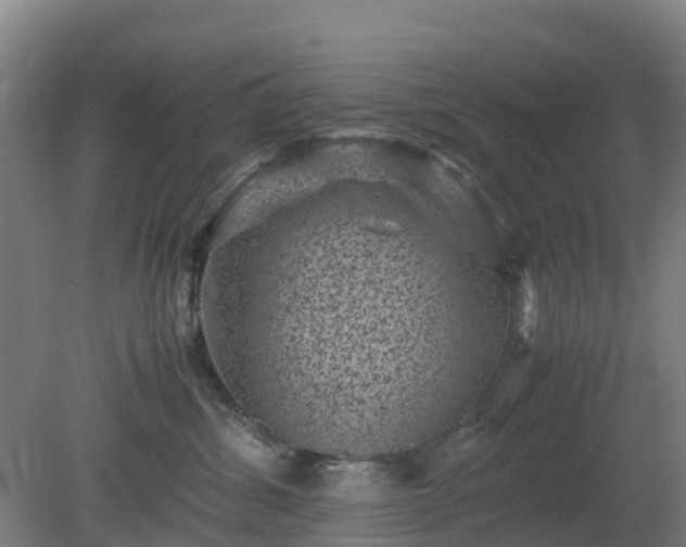 X0000080190428200612152019