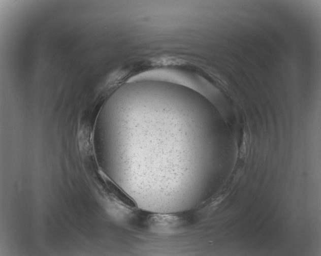 X0000080190429200612152019
