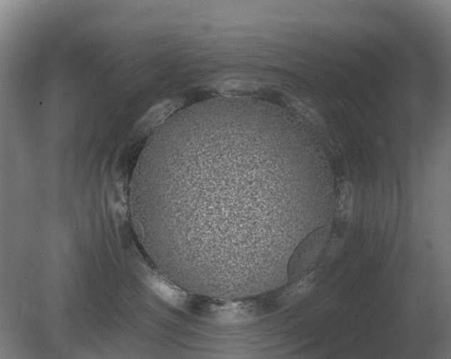 X0000080190430200612152019