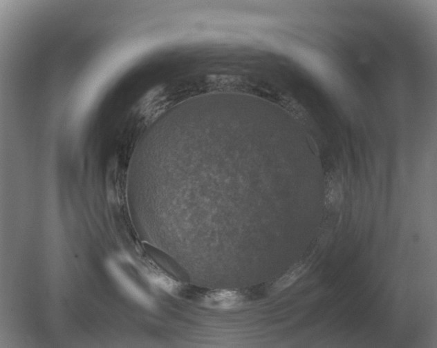 X0000080190431200612152019