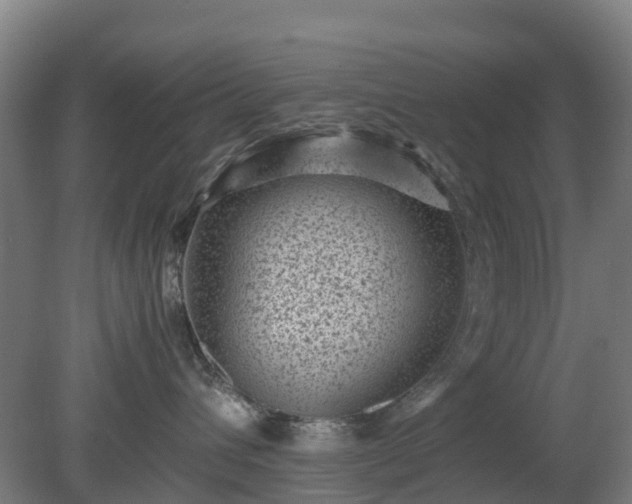 X0000080190432200612152019