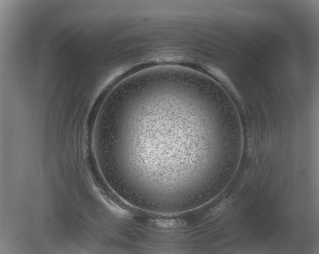 X0000080190439200612152018