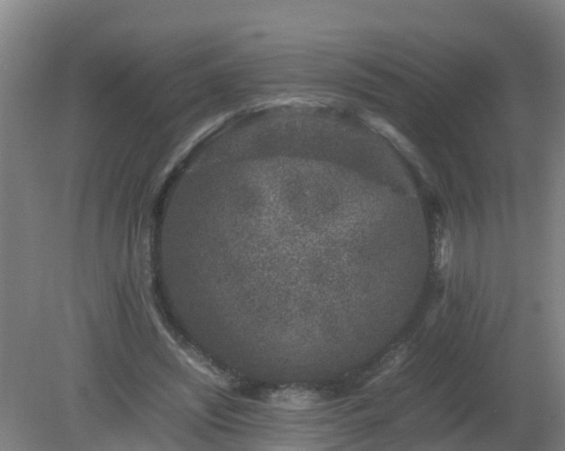 X0000080190444200612152018