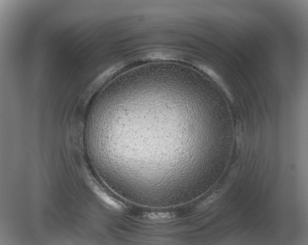 X0000080190445200612152018