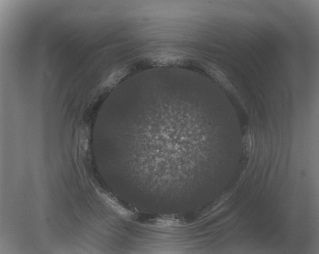 X0000080190458200612152018
