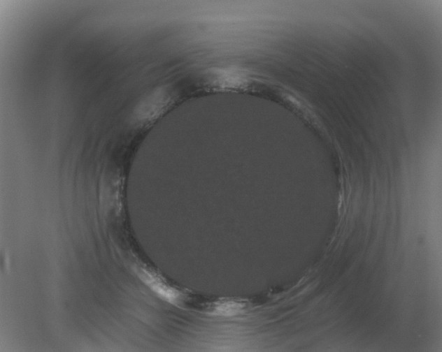 X0000080190462200612152019