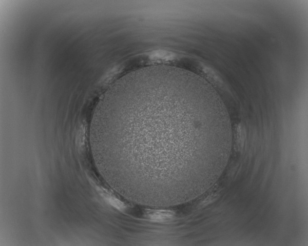 X0000080190463200612152019