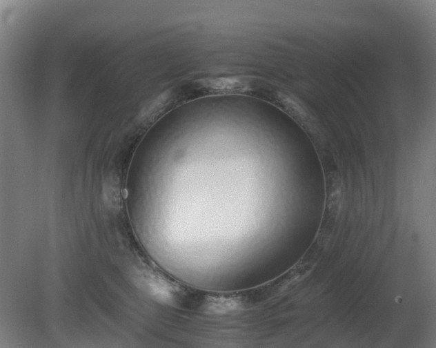 X0000080190469200612152019