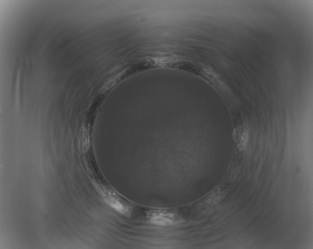 X0000080190471200612152019