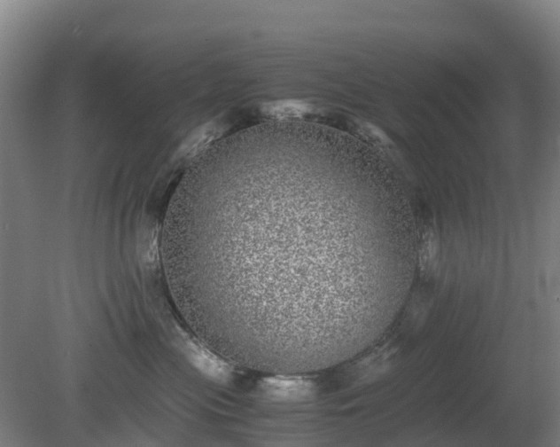 X0000080190477200612152019