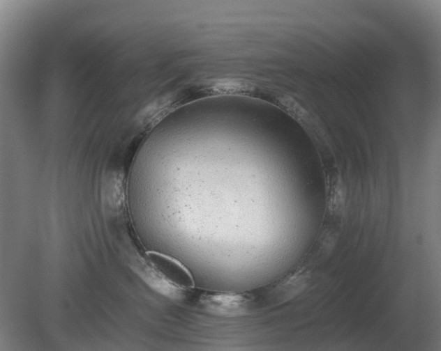 X0000080190478200612152019