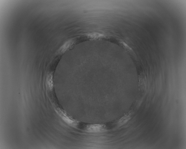 X0000080190479200612152019