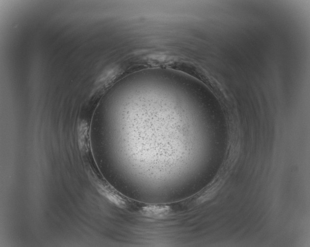 X0000080190480200612152019