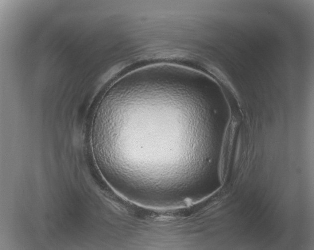 X0000080190483200612152018