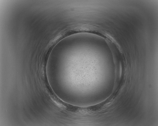 X0000080190489200612152018