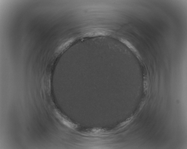 X0000080190493200612152018