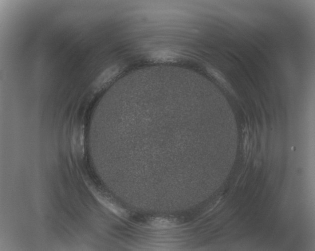 X0000080190494200612152018