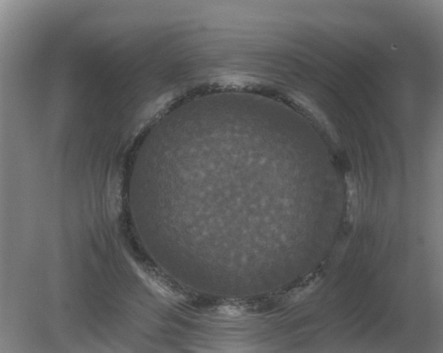 X0000080190496200612152018