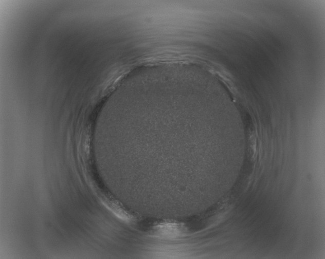 X0000080190499200612152018