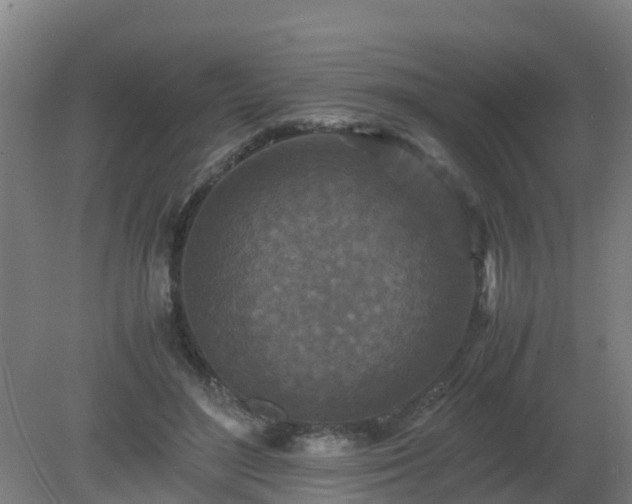 X0000080190500200612152018
