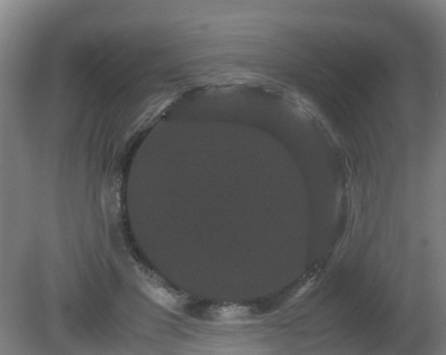 X0000080190501200612152018