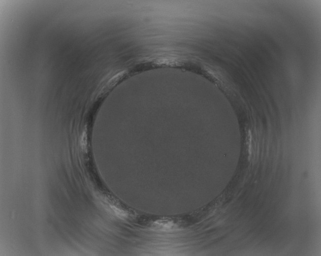 X0000080190502200612152018
