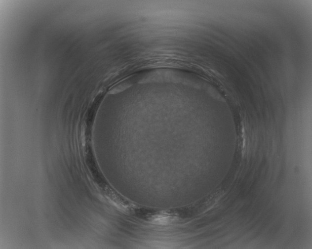 X0000080190504200612152018