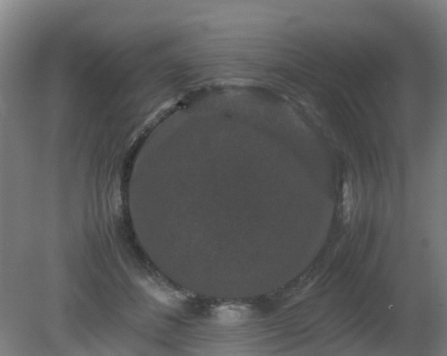 X0000080190508200612152018