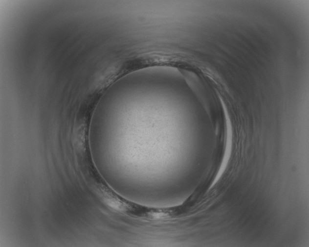 X0000080190509200612152018