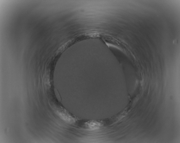 X0000080190512200612152018