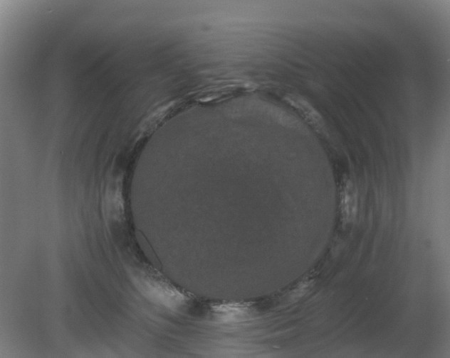 X0000080190516200612152017