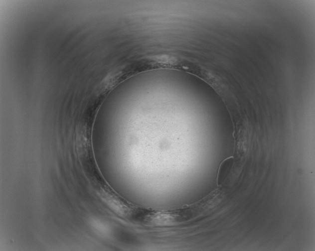 X0000080190518200612152017