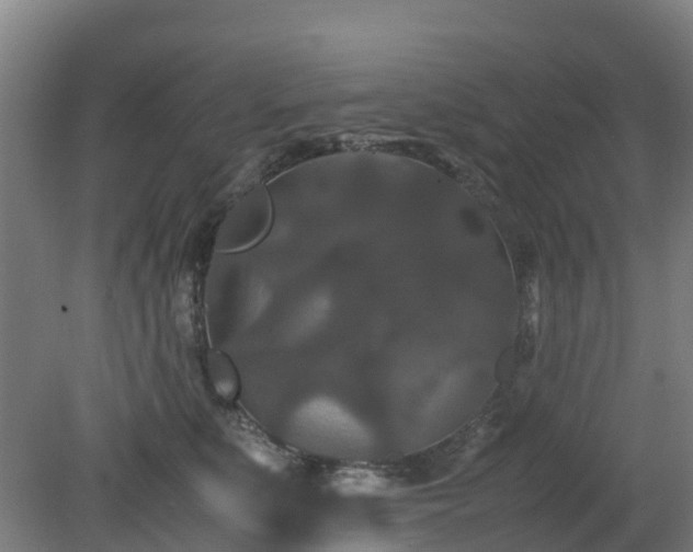 X0000080190519200612152017