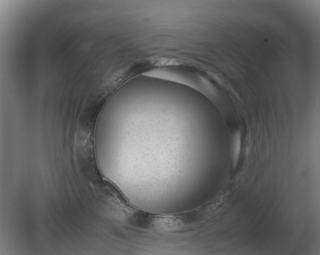 X0000080190521200612152017