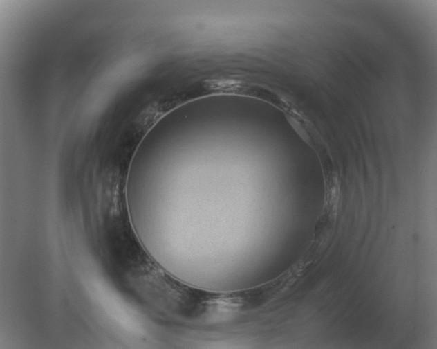 X0000080190525200612152017