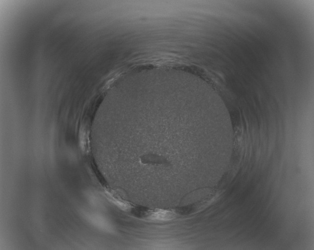 X0000080190527200612152017